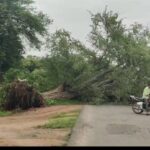 ప్రపంచ మానవ అక్రమ రవాణా వ్యతిరేకదినం సందర్భంగా…పోస్టర్ ఆవిష్కరించిన సిఎం
